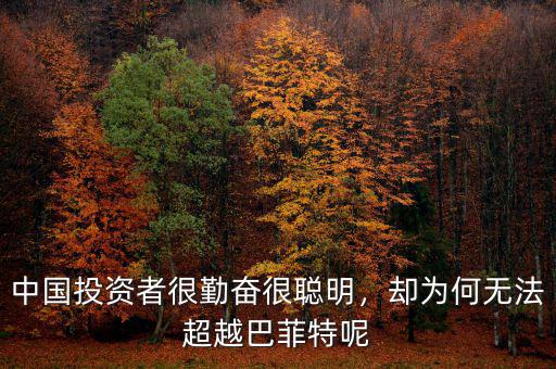 中國投資者很勤奮很聰明，卻為何無法超越巴菲特呢