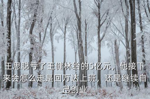 王思聰虧了王健林給的5億元，他接下來會怎么走是回萬達(dá)上班，還是繼續(xù)自己創(chuàng)業(yè)
