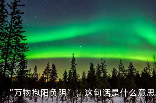 “萬物抱陽負陰”，這句話是什么意思
