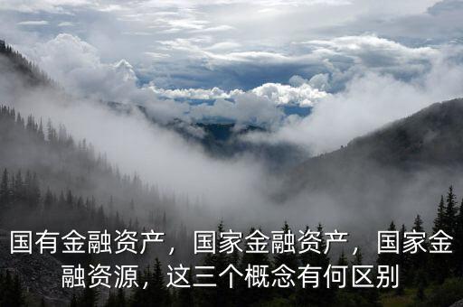 國有金融資產(chǎn)，國家金融資產(chǎn)，國家金融資源，這三個概念有何區(qū)別