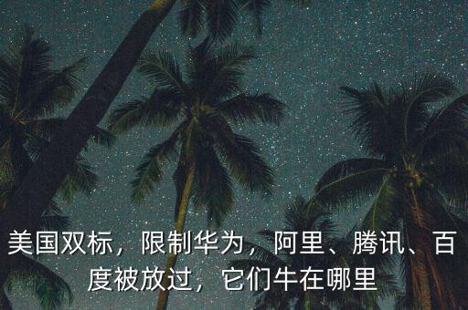 美國雙標，限制華為，阿里、騰訊、百度被放過，它們牛在哪里