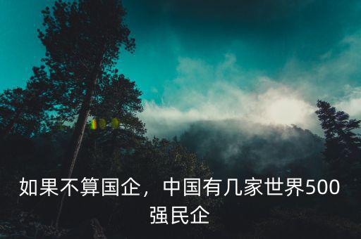 如果不算國(guó)企，中國(guó)有幾家世界500強(qiáng)民企