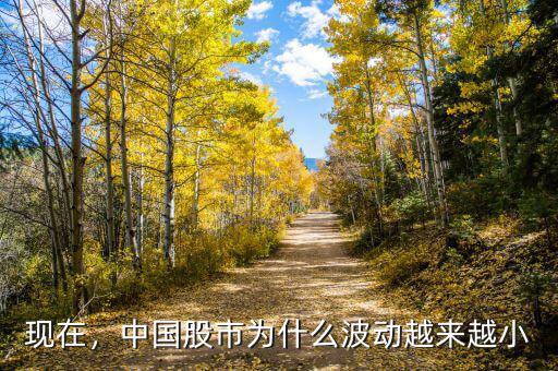 現(xiàn)在，中國股市為什么波動越來越小