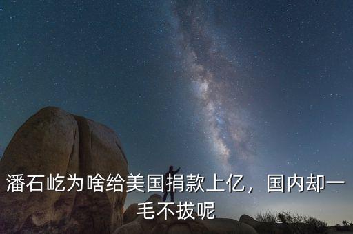 潘石屹為啥給美國捐款上億，國內(nèi)卻一毛不拔呢