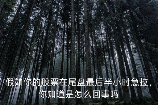 假如你的股票在尾盤最后半小時(shí)急拉，你知道是怎么回事嗎