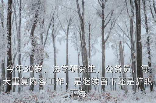 今年30歲，法學研究生，公務員，每天重復內容工作，是繼續(xù)留下還是辭職下海