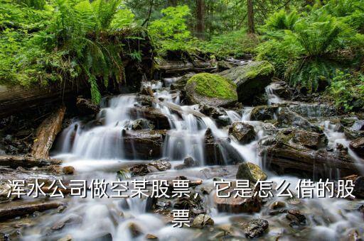 渾水公司做空某股票，它是怎么借的股票