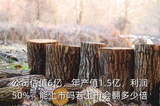 公司估值6億，年產(chǎn)值1.5億，利潤(rùn)50%，能上市嗎若上市會(huì)翻多少倍
