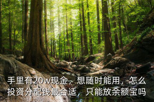 手里有20w現(xiàn)金，想隨時(shí)能用，怎么投資分配錢最合適，只能放余額寶嗎