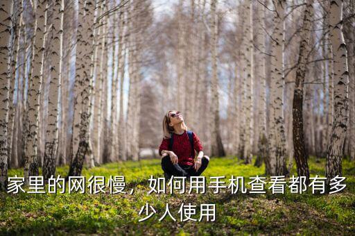家里的網(wǎng)很慢，如何用手機(jī)查看都有多少人使用