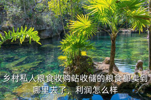 鄉(xiāng)村私人糧食收購(gòu)站收儲(chǔ)的糧食都賣到哪里去了，利潤(rùn)怎么樣