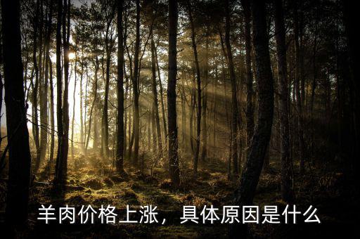 羊肉價格上漲，具體原因是什么