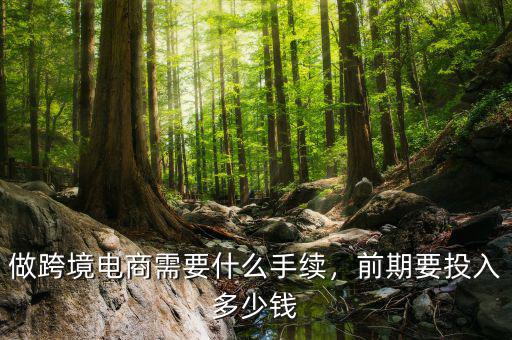 做跨境電商需要什么手續(xù)，前期要投入多少錢(qián)