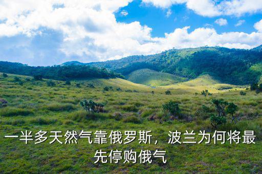 一半多天然氣靠俄羅斯，波蘭為何將最先停購俄氣