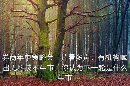 券商年中策略會一片看多聲，有機(jī)構(gòu)喊出無科技不牛市，你認(rèn)為下一輪是什么牛市