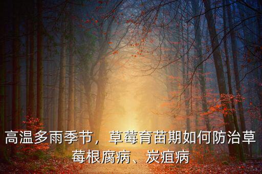 高溫多雨季節(jié)，草莓育苗期如何防治草莓根腐病、炭疽病