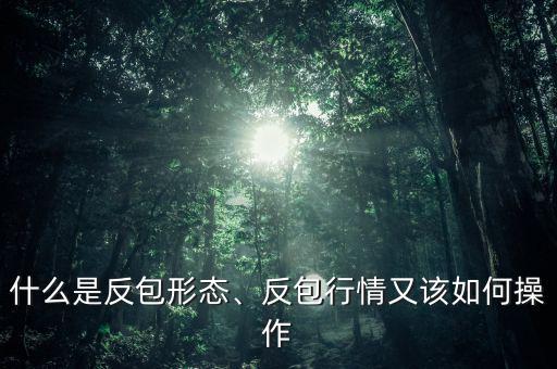 什么是反包形態(tài)、反包行情又該如何操作