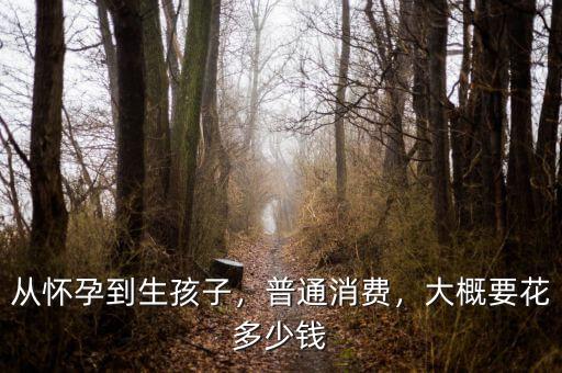從懷孕到生孩子，普通消費(fèi)，大概要花多少錢