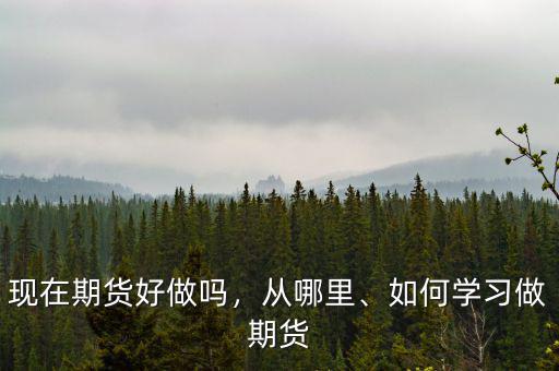 現(xiàn)在期貨好做嗎，從哪里、如何學(xué)習(xí)做期貨