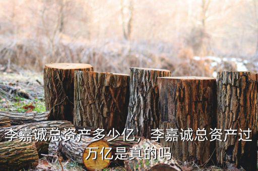 李嘉誠總資產(chǎn)多少億，李嘉誠總資產(chǎn)過萬億是真的嗎