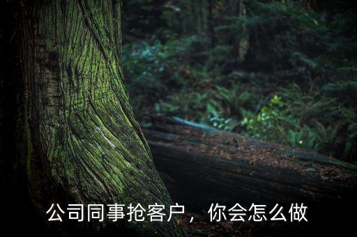 公司同事?lián)尶蛻?，你會怎么? class=