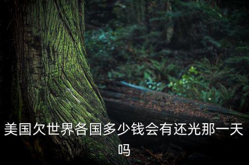 美國(guó)欠世界各國(guó)多少錢(qián)會(huì)有還光那一天嗎