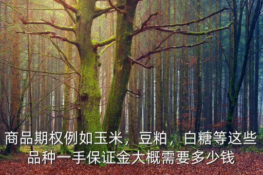 商品期權(quán)例如玉米，豆粕，白糖等這些品種一手保證金大概需要多少錢