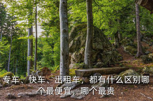 專車、快車、出租車，都有什么區(qū)別哪個最便宜，哪個最貴