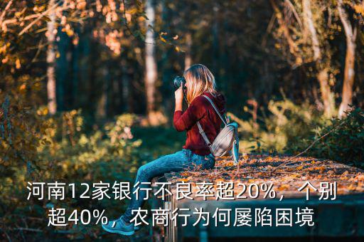 河南12家銀行不良率超20%，個別超40%，農(nóng)商行為何屢陷困境