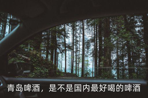 青島啤酒，是不是國內(nèi)最好喝的啤酒