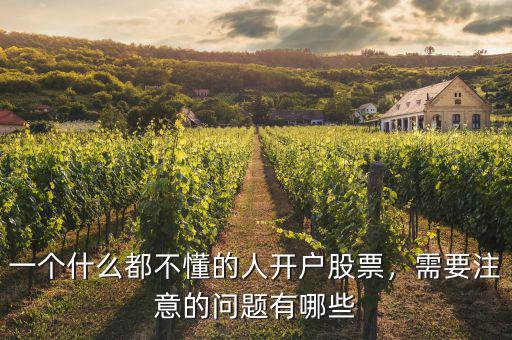 一個(gè)什么都不懂的人開戶股票，需要注意的問題有哪些