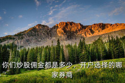 你們炒股傭金都是多少，開戶選擇的哪家券商