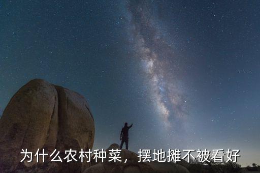 為什么農(nóng)村種菜，擺地攤不被看好