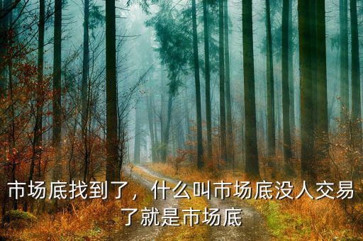 市場底找到了，什么叫市場底沒人交易了就是市場底