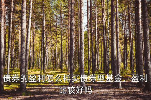 債券的盈利怎么樣買債券型基金，盈利比較好嗎
