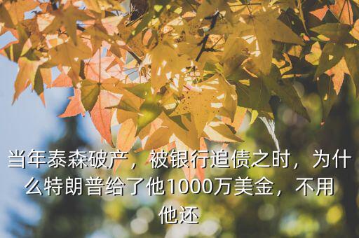 當(dāng)年泰森破產(chǎn)，被銀行追債之時(shí)，為什么特朗普給了他1000萬美金，不用他還