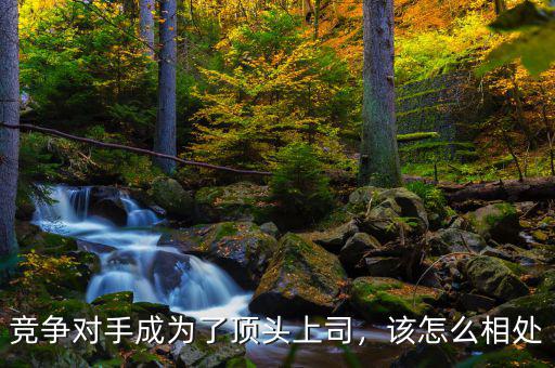 競爭對手成為了頂頭上司，該怎么相處