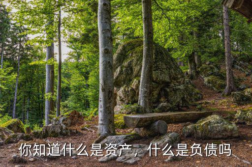 你知道什么是資產(chǎn)，什么是負(fù)債嗎