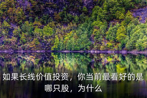 如果長線價值投資，你當(dāng)前最看好的是哪只股，為什么