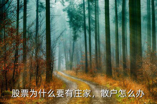 股票為什么要有莊家，散戶怎么辦