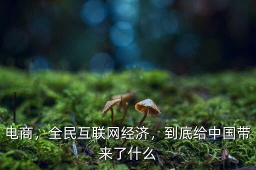 電商，全民互聯(lián)網(wǎng)經(jīng)濟(jì)，到底給中國帶來了什么