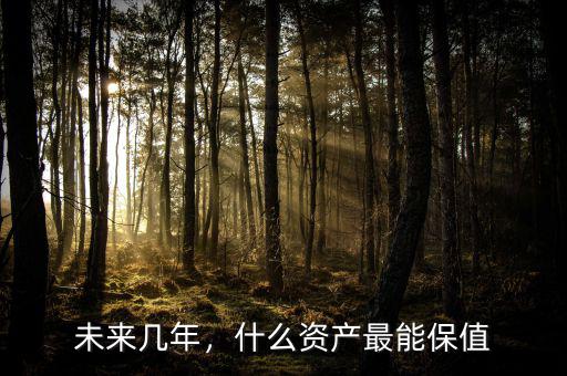 未來幾年，什么資產(chǎn)最能保值