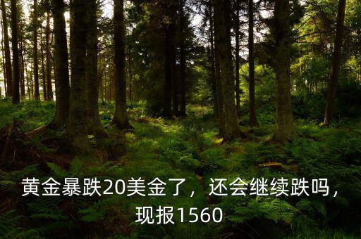 黃金暴跌20美金了，還會(huì)繼續(xù)跌嗎，現(xiàn)報(bào)1560
