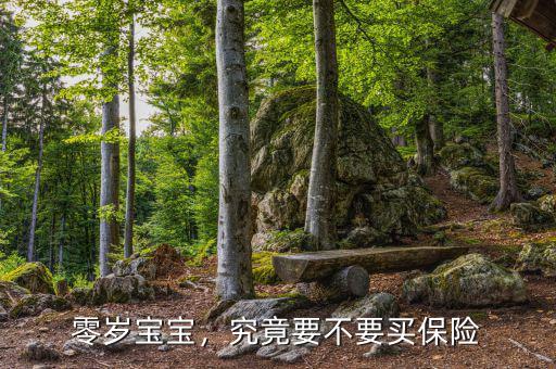 零歲寶寶，究竟要不要買保險(xiǎn)