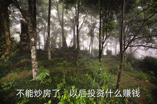 不能炒房了，以后投資什么賺錢