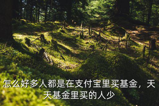 怎么好多人都是在支付寶里買基金，天天基金里買的人少