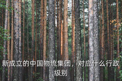 新成立的中國物流集團，對應什么行政級別