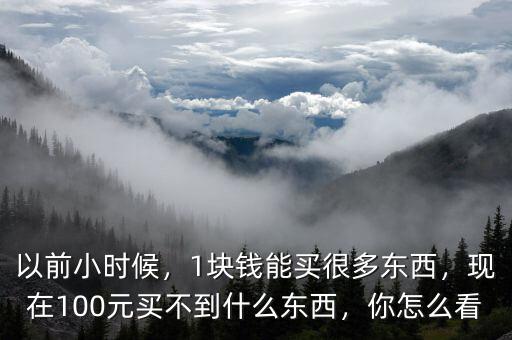 以前小時(shí)候，1塊錢能買很多東西，現(xiàn)在100元買不到什么東西，你怎么看