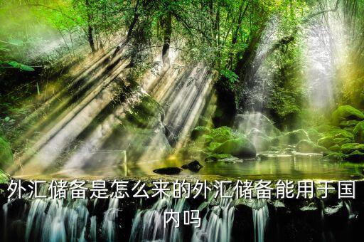 外匯儲備是怎么來的外匯儲備能用于國內嗎