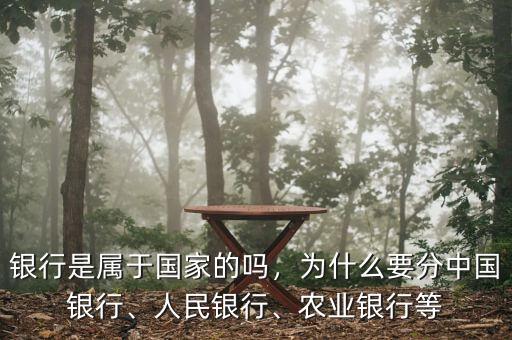 銀行是屬于國(guó)家的嗎，為什么要分中國(guó)銀行、人民銀行、農(nóng)業(yè)銀行等